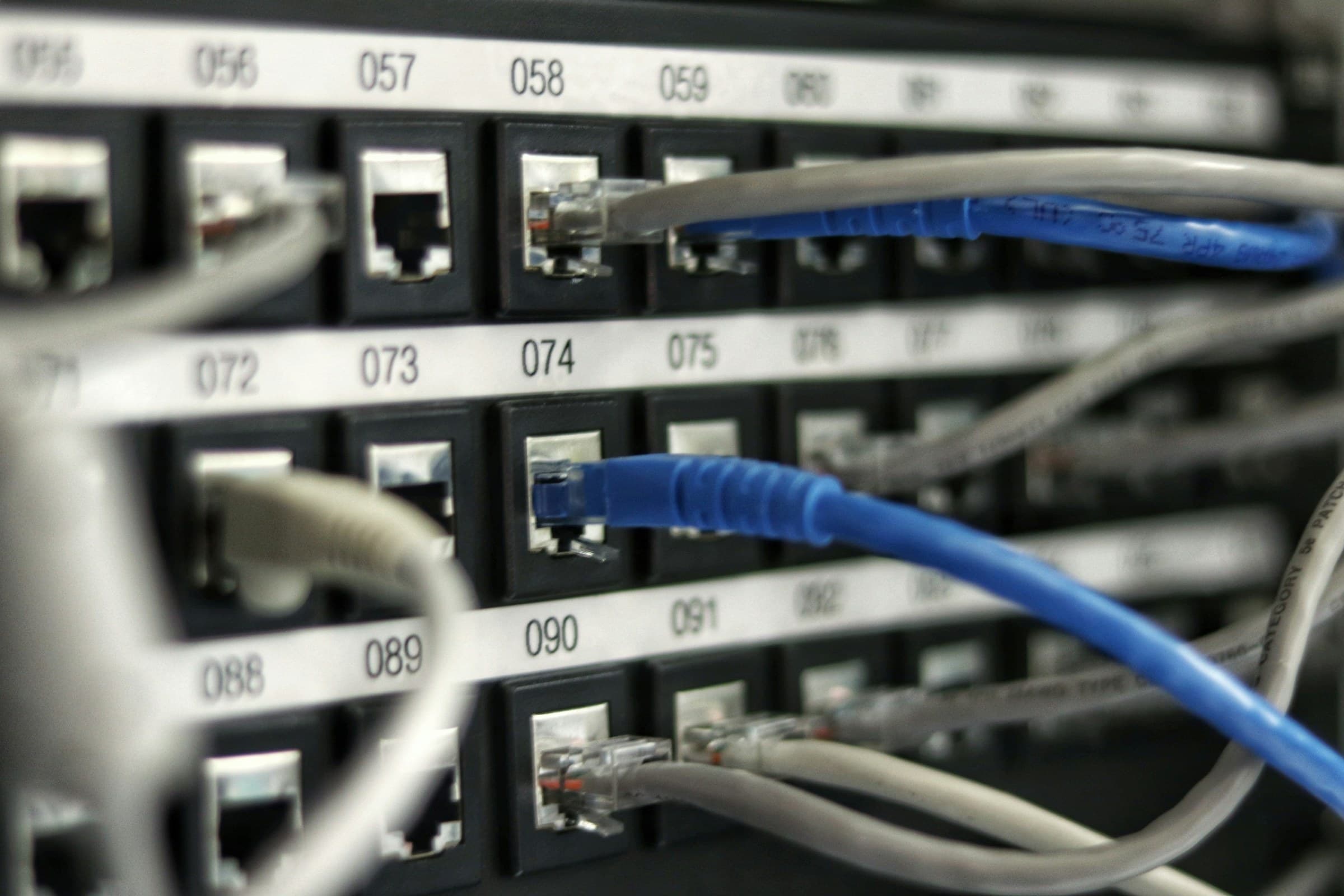 A patch panel with blue and grey network cables